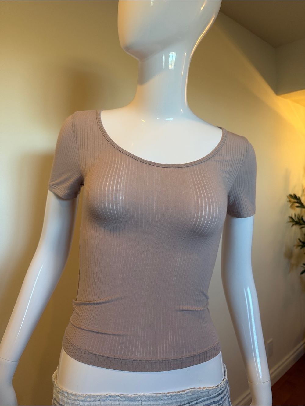 NWT Aerie Taupe Ribbed Modal Fitted T-Shirt Small